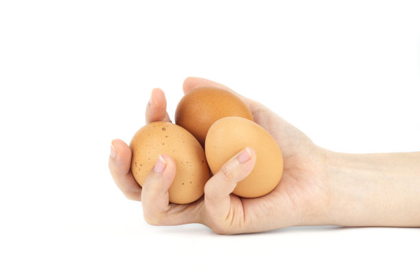 在白色背景下拿鸡蛋图片下载