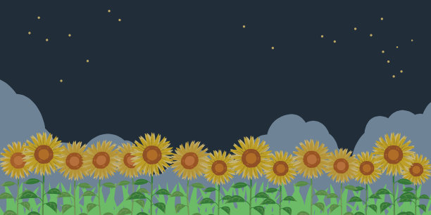 向日葵的夜空图片下载