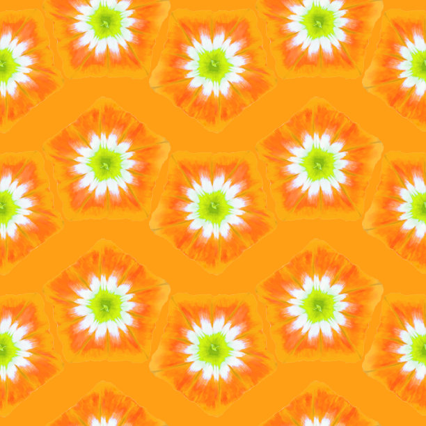 旋花类,旋花植物。插图，花的纹理。用于连续复制的无缝模式。花卉背景，照片拼贴为纺织品，棉布面料。用于墙纸，封面。图片下载