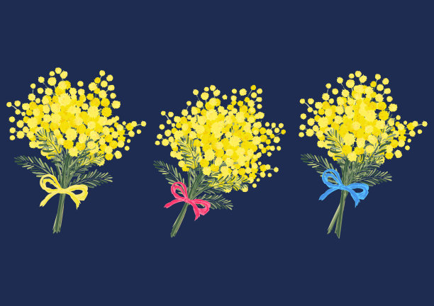 Mimoza束带图片下载