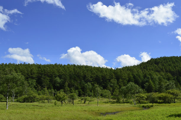 日本长野市赤石山生笠山(2020年夏季)图片下载