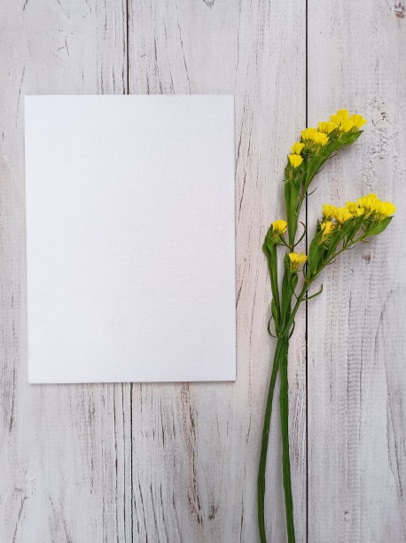 空白的白色画布和黄色柠檬花在白色木制背景上图片下载