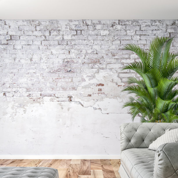 空旷的室内，灰色的沙发，茂盛的树叶装饰和复制空间图片下载