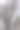 城市公园里的一棵老橡树图片下载