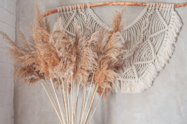 干野花波西米亚风格在客厅靠近混凝土墙图片下载