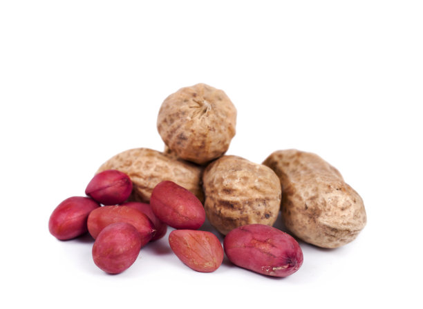 堆花生图片下载