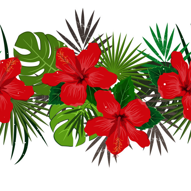 无缝的夏季花与热带的边界图片下载