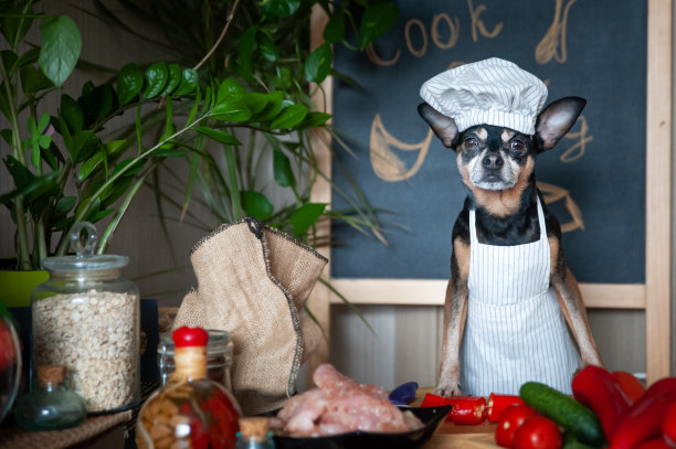狗戴着厨师帽，围着围裙，在厨房里做饭。健康狗ââ食物概念图片下载