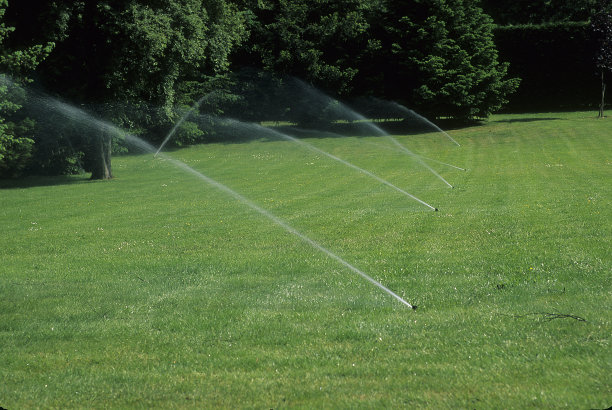 草坪上图片下载