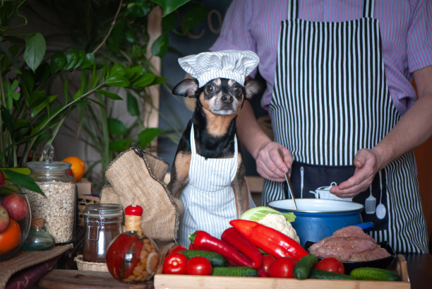 一个穿着围裙的人和他的狗戴着厨师帽和围裙在厨房做饭。一张非常可爱的友谊和共同活动的照片。烹饪概念图片下载