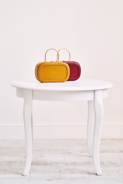 两个时尚的女性皮包在白色的背景图片下载