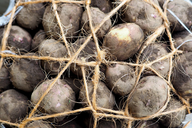 新鲜蔬菜市场上的土豆，随时可以出售图片下载