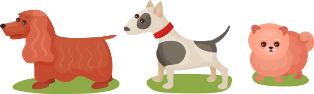 纯种犬或犬与博美犬图片下载