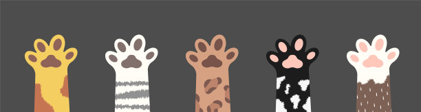 毛绒猫爪集各种可爱图片下载