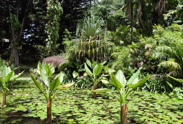 塞舌尔是我的梦想图片下载