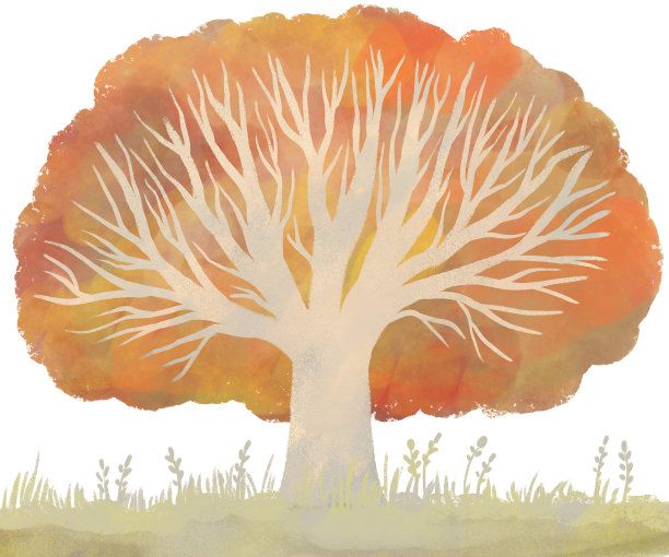 插图的橙色落叶宽美丽的树与草在白色的背景图片下载