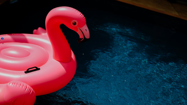 夏日假期有趣有趣的粉红色火烈鸟漂浮在游泳池时髦的夏天概念图片下载