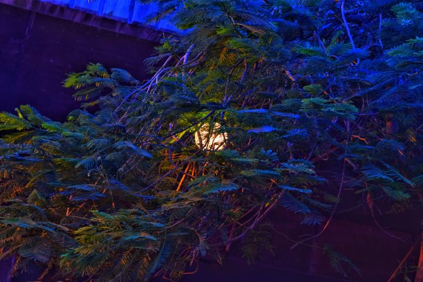 美丽的颜色光图片下载