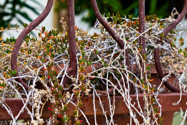 铁栅栏抽象建筑设计图片下载