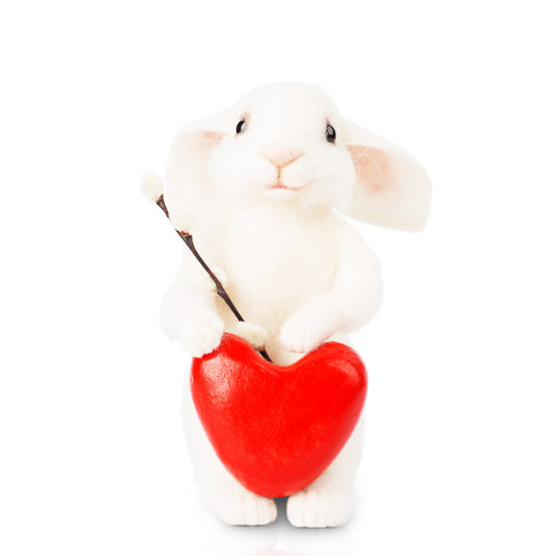 可爱的毛绒玩具小兔，红心柳枝。图片下载