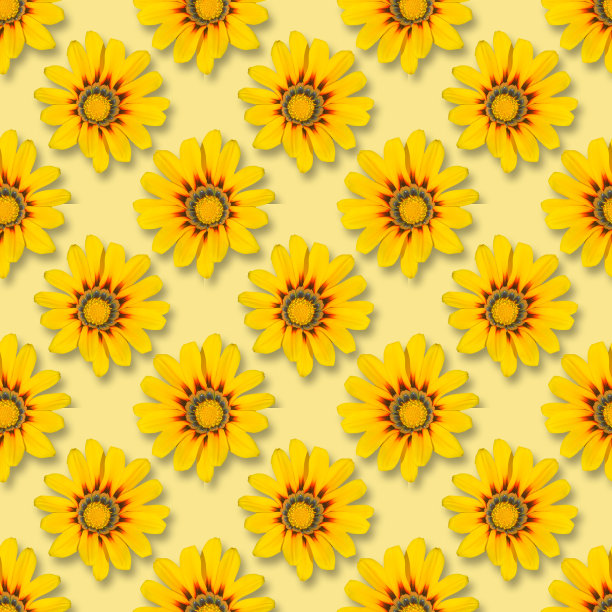 黄色背景上的无缝花图案。平躺，俯视图。黄色的春花。图片下载