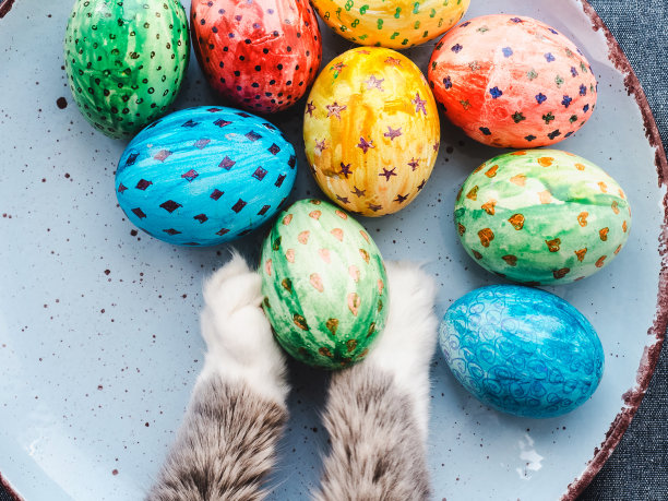 可爱的小猫和色彩鲜艳的复活节彩蛋图片下载