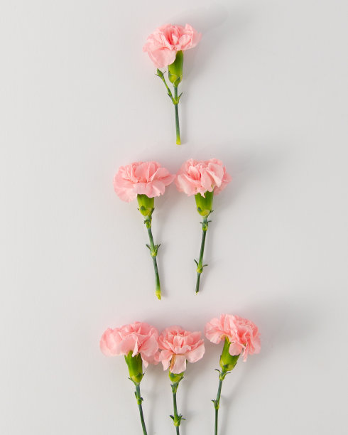 国际妇女节图片下载