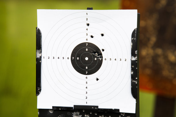 波兰罗兹Voivodeship Sulejow的弹孔射击目标图片下载