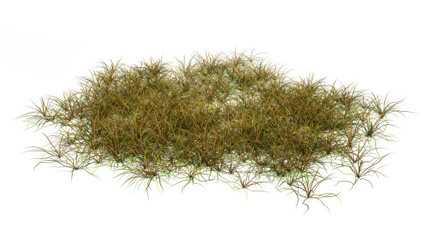 3D插图补丁的草在白色图片下载