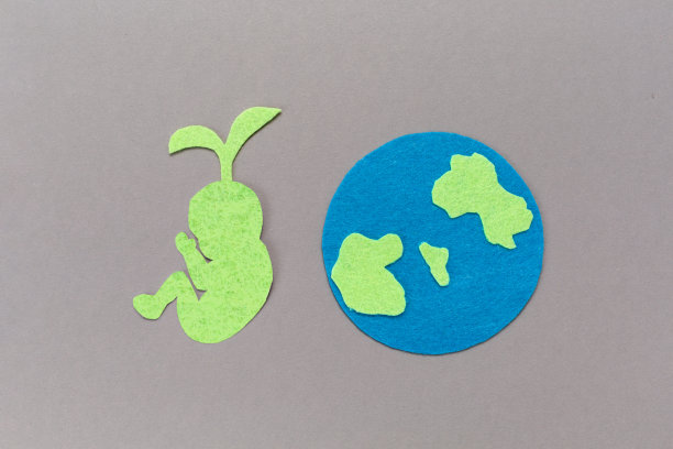 “地球日”的概念。一个毛毡切割象征地球和纸剪影的绿色婴儿像一个萌芽。灰色的背景。平躺图片下载