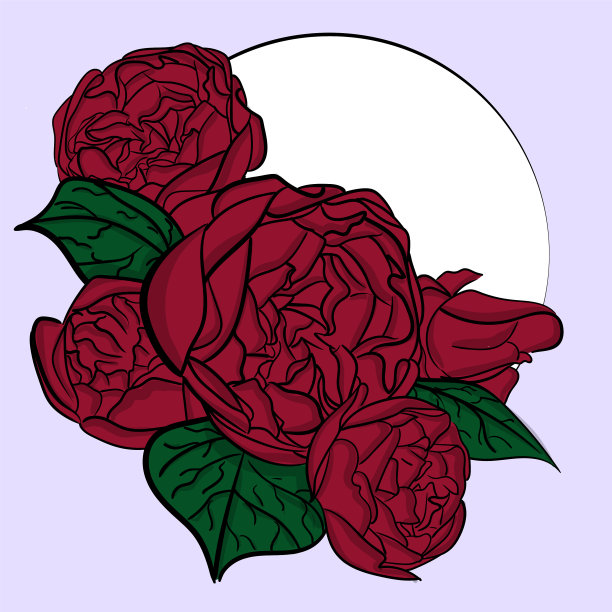 一束暗红色、绿叶的牡丹图片下载