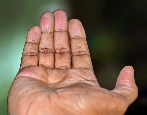 手询问手掌和手势和姿势-手指指向和抓取图片下载