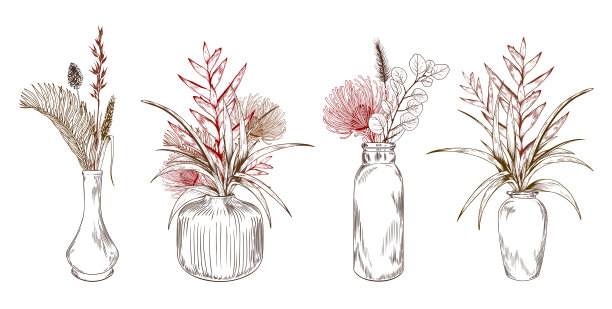 装在花瓶里的异国情调的热带花卉。图片下载