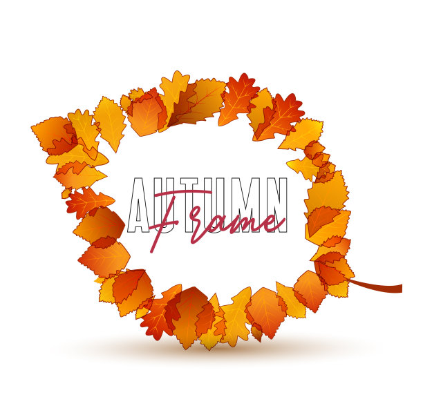 色彩斑斓的秋叶图片下载