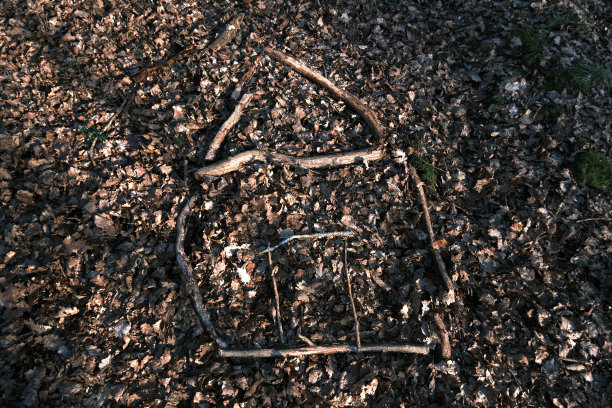 用树枝建造的房子图片下载