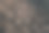 用树枝建造的房子图片下载