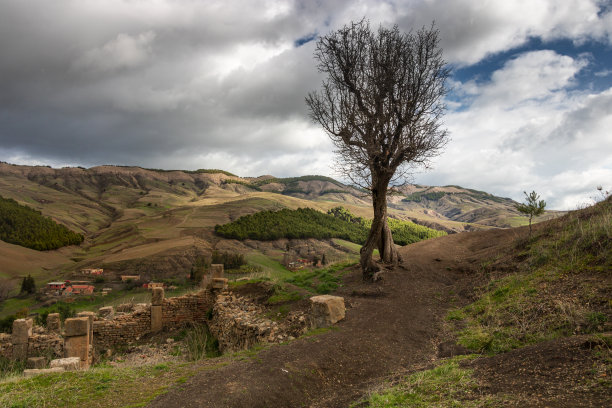 这是阿尔及利亚罗马小镇Cuicul山上美丽的天空和树木的风景照片图片下载