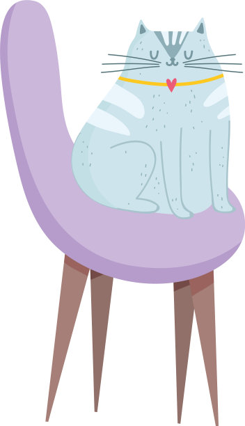 灰猫孤立地坐在椅子上图片下载