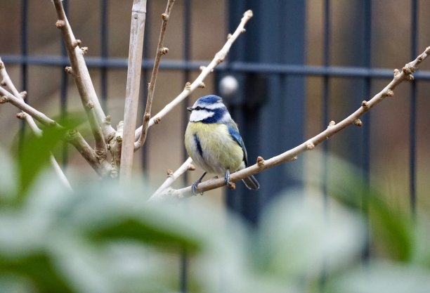 美丽的大自然图片下载