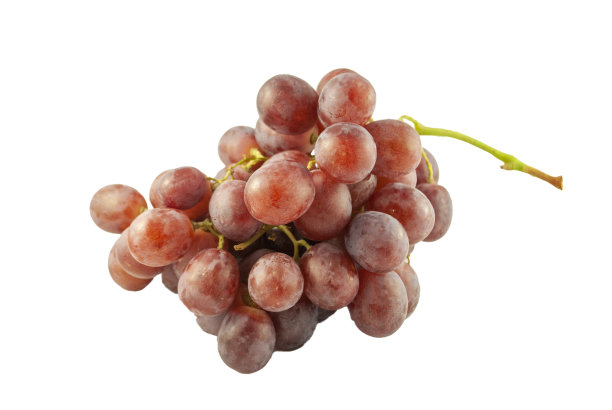 自然背景，竹枝与树叶在白色背景孤立与文字和剪切路径的空间。图片下载