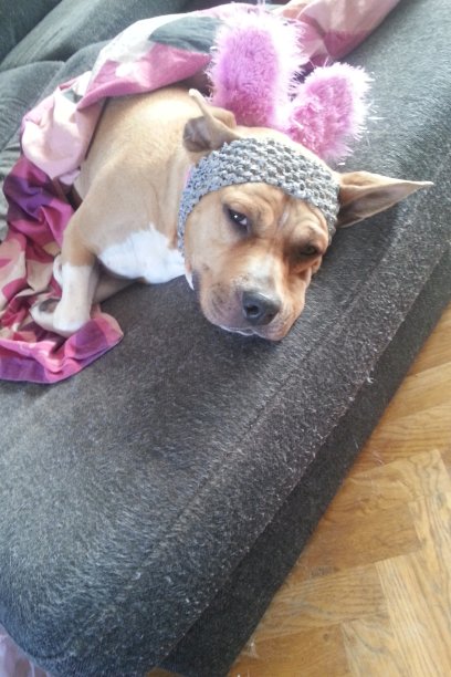 耐心。图片下载