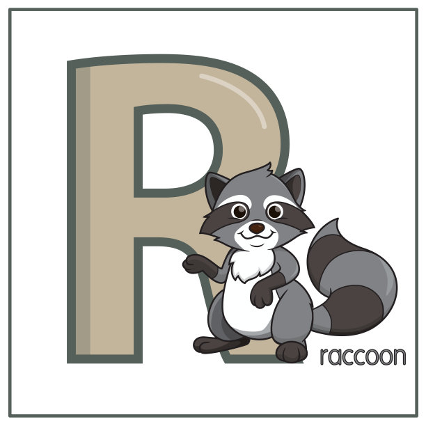矢量插图的浣熊站在孤立的白色背景。用大写字母R作为教材，让孩子们了解英语字母表。图片下载