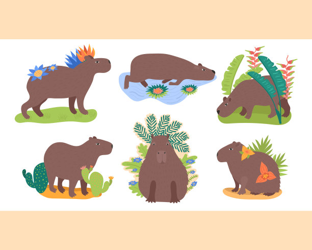 集水豚图片下载