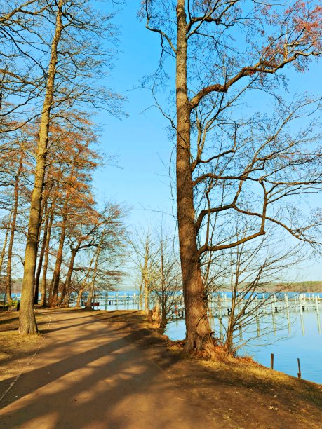 Werbellinsee的徒步旅行路线图片下载