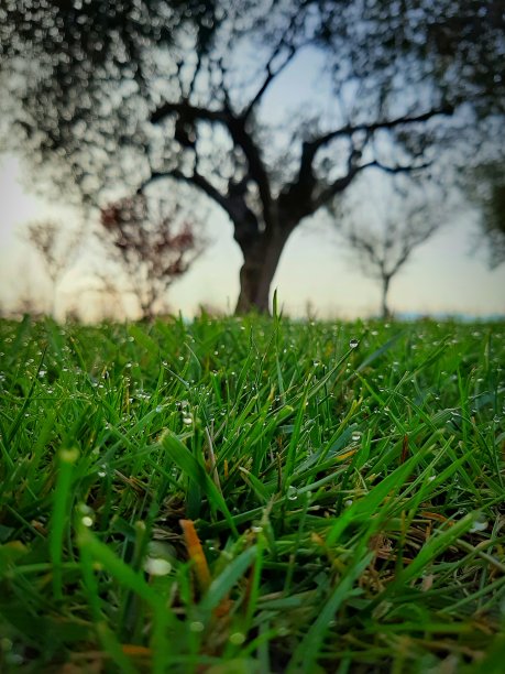 早晨的景色图片下载