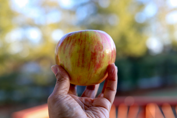 一个非裔美国妇女的特写照片，她手里拿着一个有机红苹果图片下载