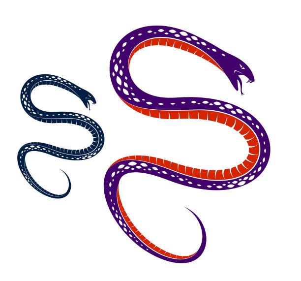 蛇纹身致命的毒药危险的蛇图片下载