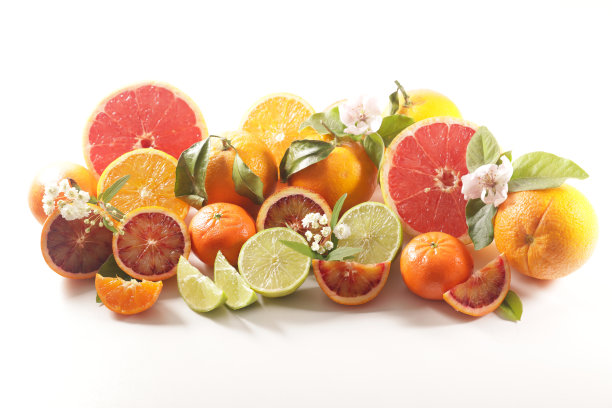 白色背景上分离的各种柑橘类水果图片下载