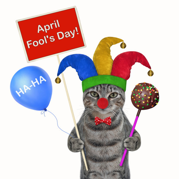 猫灰色小丑与蛋糕流行2图片下载