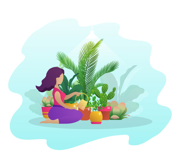 照料室内植物的女人图片下载